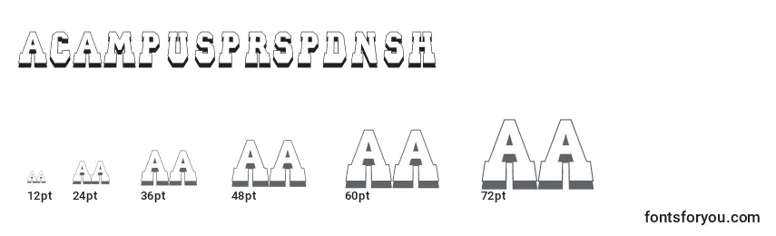 ACampusprspdnsh Font Sizes