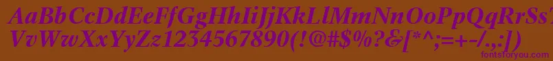 InformaticsSsiBoldItalic Font – Purple Fonts on Brown Background