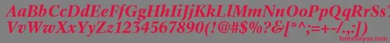 InformaticsSsiBoldItalic Font – Red Fonts on Gray Background