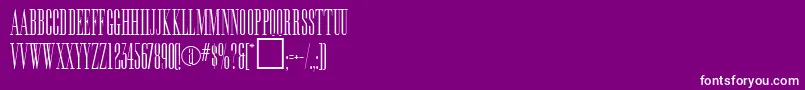 Weitere Informationen zur EditionRegular-Schriftart EditionRegular-Schriftart – Weiße Schriften auf violettem Hintergrund