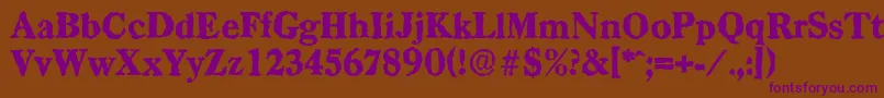 CasadrandomHeavyRegular Font – Purple Fonts on Brown Background