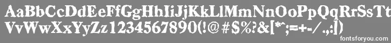 CasadrandomHeavyRegular Font – White Fonts on Gray Background