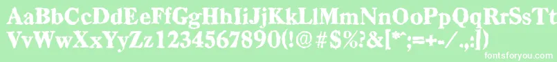 CasadrandomHeavyRegular Font – White Fonts on Green Background