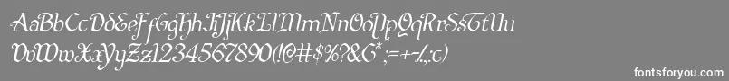 フォントQuillswordlightital – 灰色の背景に白い文字