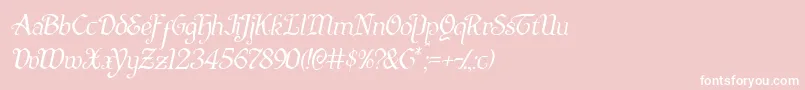 Quillswordlightital Font – White Fonts on Pink Background