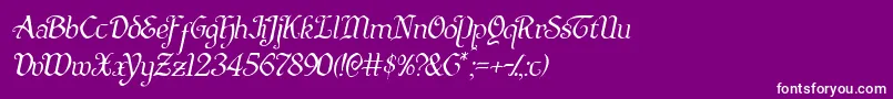 Quillswordlightital Font – White Fonts on Purple Background