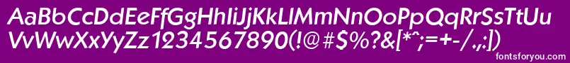 KoblenzserialMediumItalic Font – White Fonts on Purple Background