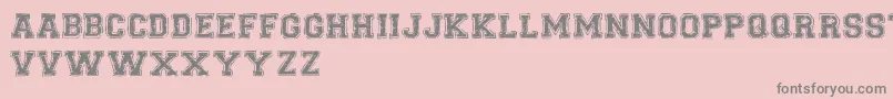 UniversalCollegeDemoVersion Font – Gray Fonts on Pink Background