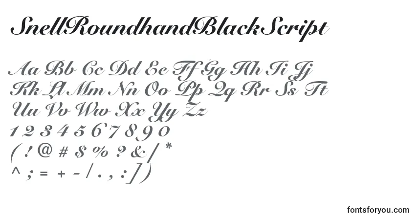 Шрифт SnellRoundhandBlackScript – алфавит, цифры, специальные символы