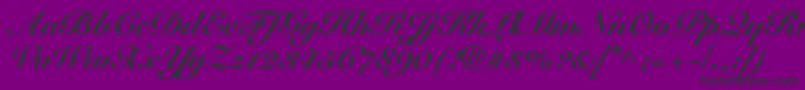 フォントSnellRoundhandBlackScript – 紫の背景に黒い文字