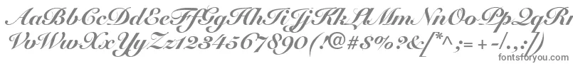 SnellRoundhandBlackScript Font – Gray Fonts