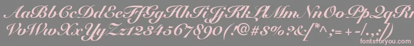 SnellRoundhandBlackScript Font – Pink Fonts on Gray Background