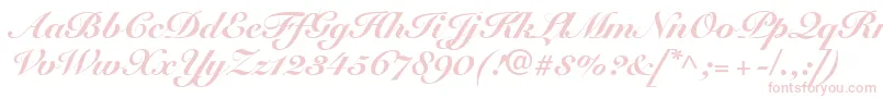 SnellRoundhandBlackScript Font – Pink Fonts on White Background