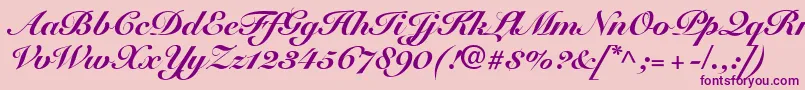SnellRoundhandBlackScript Font – Purple Fonts on Pink Background