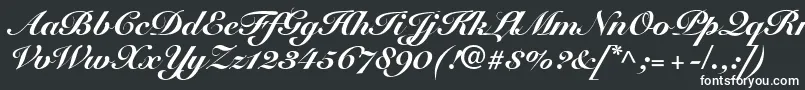 SnellRoundhandBlackScript Font – White Fonts on Black Background