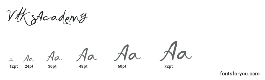 VtksAcademy Font Sizes