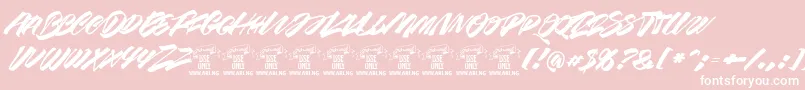 Racefeverbrushpersonalフォントについての詳細 フォントRacefeverbrushpersonal – ピンクの背景に白い文字