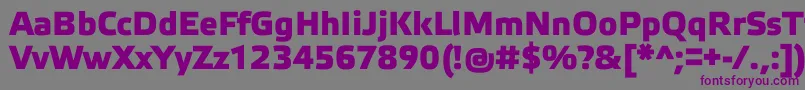 ElektraMediumProBold Font – Purple Fonts on Gray Background