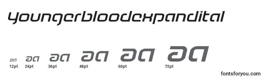 Youngerbloodexpandital Font Sizes