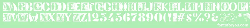 Veneto ffy Font – White Fonts on Green Background