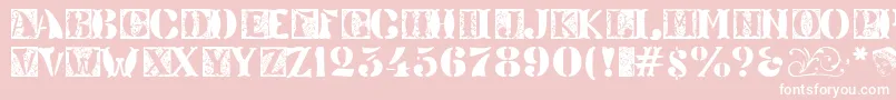 Veneto ffy Font – White Fonts on Pink Background