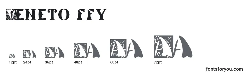 Размеры шрифта Veneto ffy