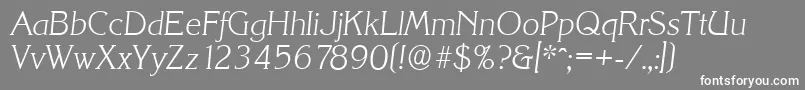 KorinthserialXlightItalic Font – White Fonts on Gray Background