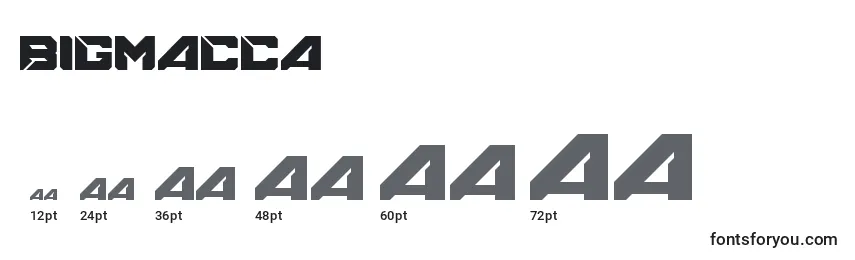 Bigmacca Font Sizes