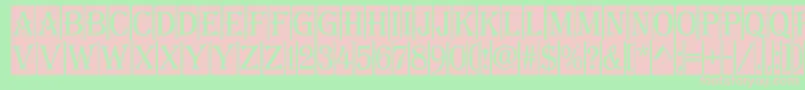 AAlgeriusnrcm Font – Pink Fonts on Green Background