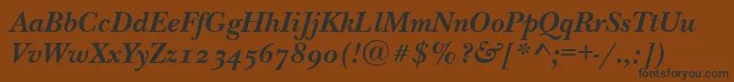 NewbaskervilleodttBolditalic Font – Black Fonts on Brown Background