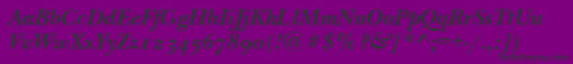 NewbaskervilleodttBolditalic Font – Black Fonts on Purple Background