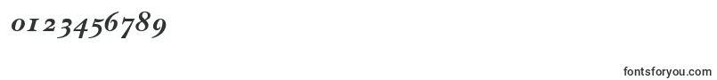 NewbaskervilleodttBolditalic Font – Fonts for Numbers and Digits