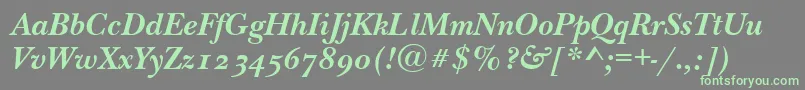 NewbaskervilleodttBolditalic Font – Green Fonts on Gray Background