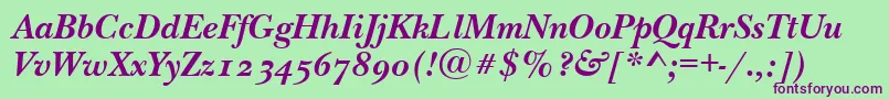 NewbaskervilleodttBolditalic Font – Purple Fonts on Green Background