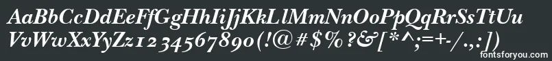 NewbaskervilleodttBolditalic Font – White Fonts on Black Background