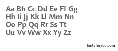 Обзор шрифта LinotypefinneganBold