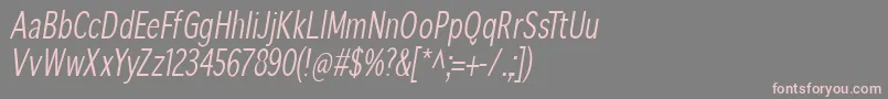 SansibarcxCondensedoblique Font – Pink Fonts on Gray Background