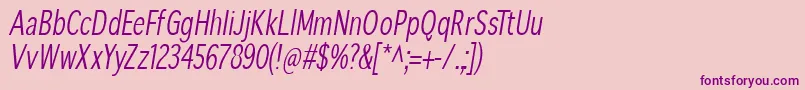 SansibarcxCondensedoblique Font – Purple Fonts on Pink Background
