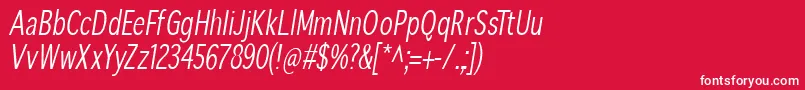 SansibarcxCondensedoblique Font – White Fonts on Red Background