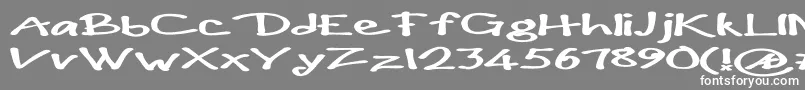 フォントPaulmaullongsB – 灰色の背景に白い文字