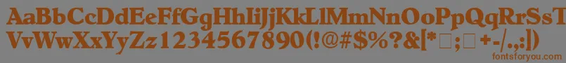 NegotiatDisplaySsi Font – Brown Fonts on Gray Background