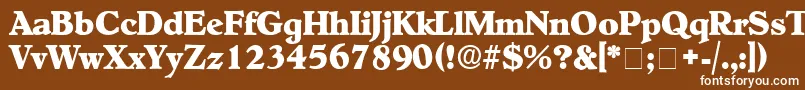 Czcionka NegotiatDisplaySsi – białe czcionki na brązowym tle