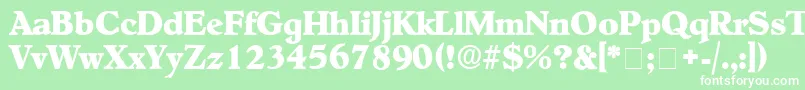 フォントNegotiatDisplaySsi – 緑の背景に白い文字