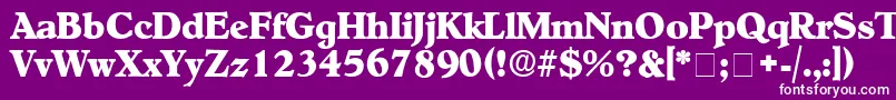 フォントNegotiatDisplaySsi – 紫の背景に白い文字