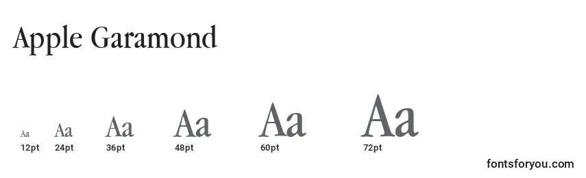 Размеры шрифта Apple Garamond
