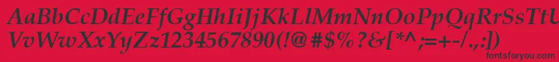 Latinopal6Bolditalicsh Font – Black Fonts on Red Background