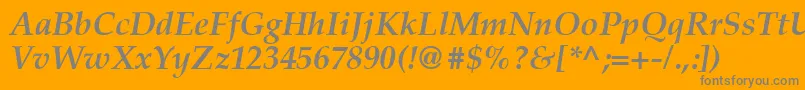 Latinopal6Bolditalicsh Font – Gray Fonts on Orange Background