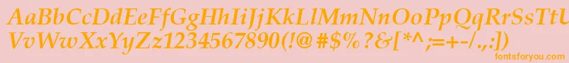 Latinopal6Bolditalicsh Font – Orange Fonts on Pink Background