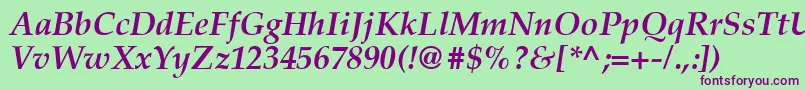 Latinopal6Bolditalicsh Font – Purple Fonts on Green Background