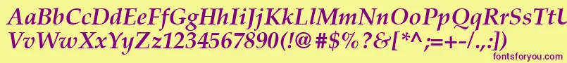 Latinopal6Bolditalicsh Font – Purple Fonts on Yellow Background